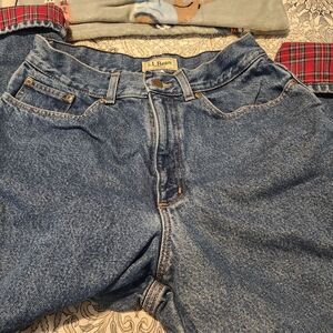 L.L. Bean Original Fit Blue Women's Jeans With Lining 10 Tall